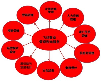 管理咨詢服務(wù)哪家強？專業(yè)信息咨詢機構(gòu)的選擇與考量